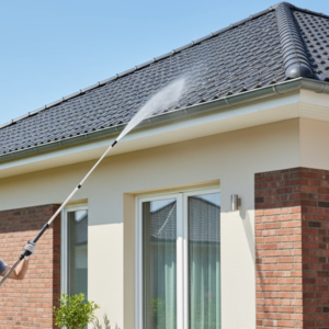 Custom Roofline and Eaves Cleaning